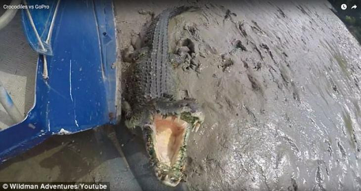 Κροκόδειλος προσπαθεί να φάει την κάμερα ψαρά και κόβει την ανάσα… (βίντεο)